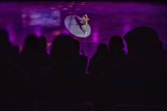 FIGURE SKATING HENDRICKX FAREWELL SHOW