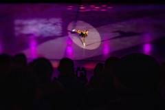 FIGURE SKATING HENDRICKX FAREWELL SHOW